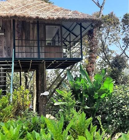 Noah'S Nest Tree House Apartment Thekkady Ngoại thất bức ảnh