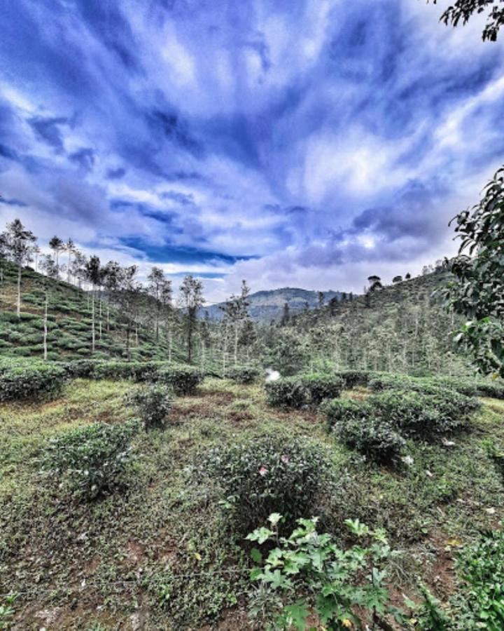 Noah'S Nest Tree House Apartment Thekkady Ngoại thất bức ảnh