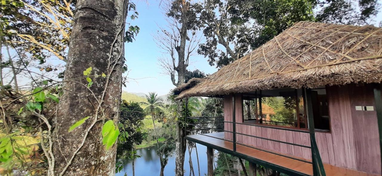 Noah'S Nest Tree House Apartment Thekkady Ngoại thất bức ảnh