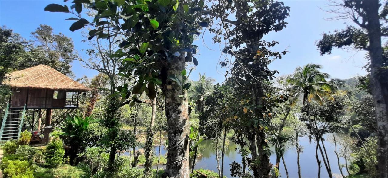 Noah'S Nest Tree House Apartment Thekkady Ngoại thất bức ảnh