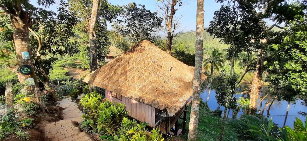 Noah'S Nest Tree House Apartment Thekkady Ngoại thất bức ảnh
