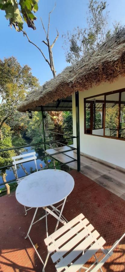 Noah'S Nest Tree House Apartment Thekkady Ngoại thất bức ảnh
