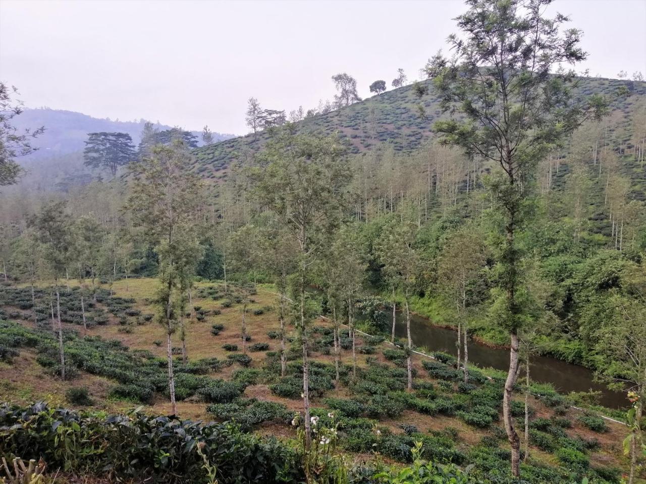 Noah'S Nest Tree House Apartment Thekkady Ngoại thất bức ảnh