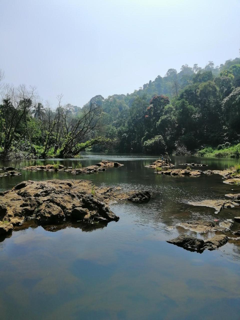 Noah'S Nest Tree House Apartment Thekkady Ngoại thất bức ảnh