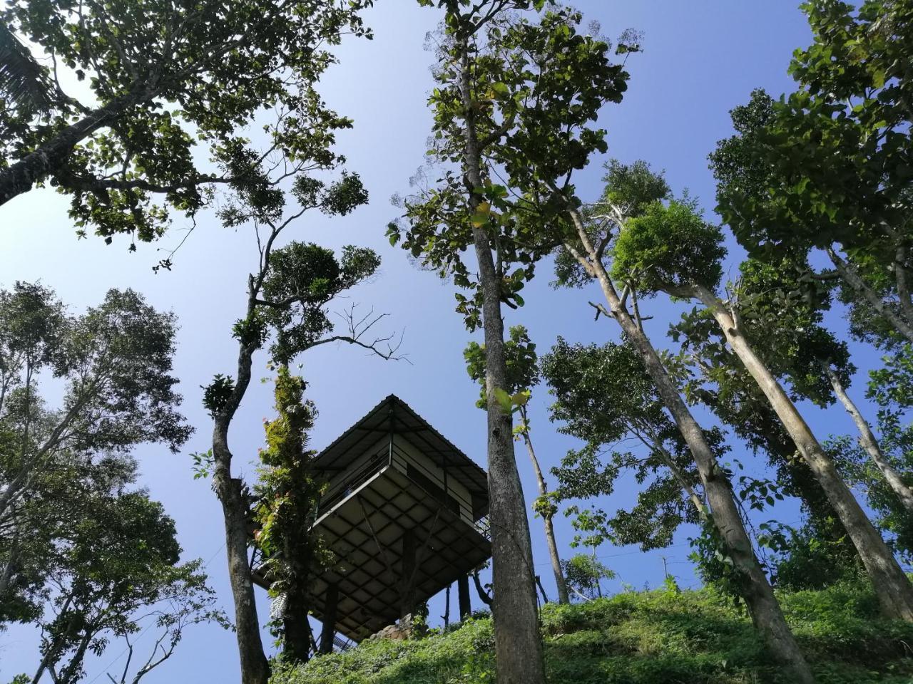 Noah'S Nest Tree House Apartment Thekkady Ngoại thất bức ảnh