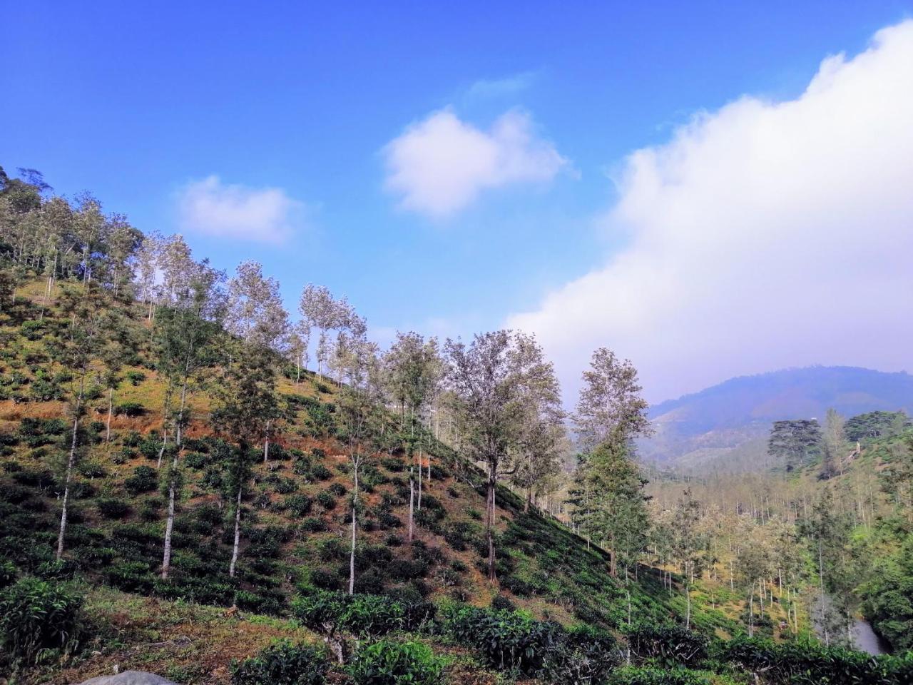Noah'S Nest Tree House Apartment Thekkady Ngoại thất bức ảnh