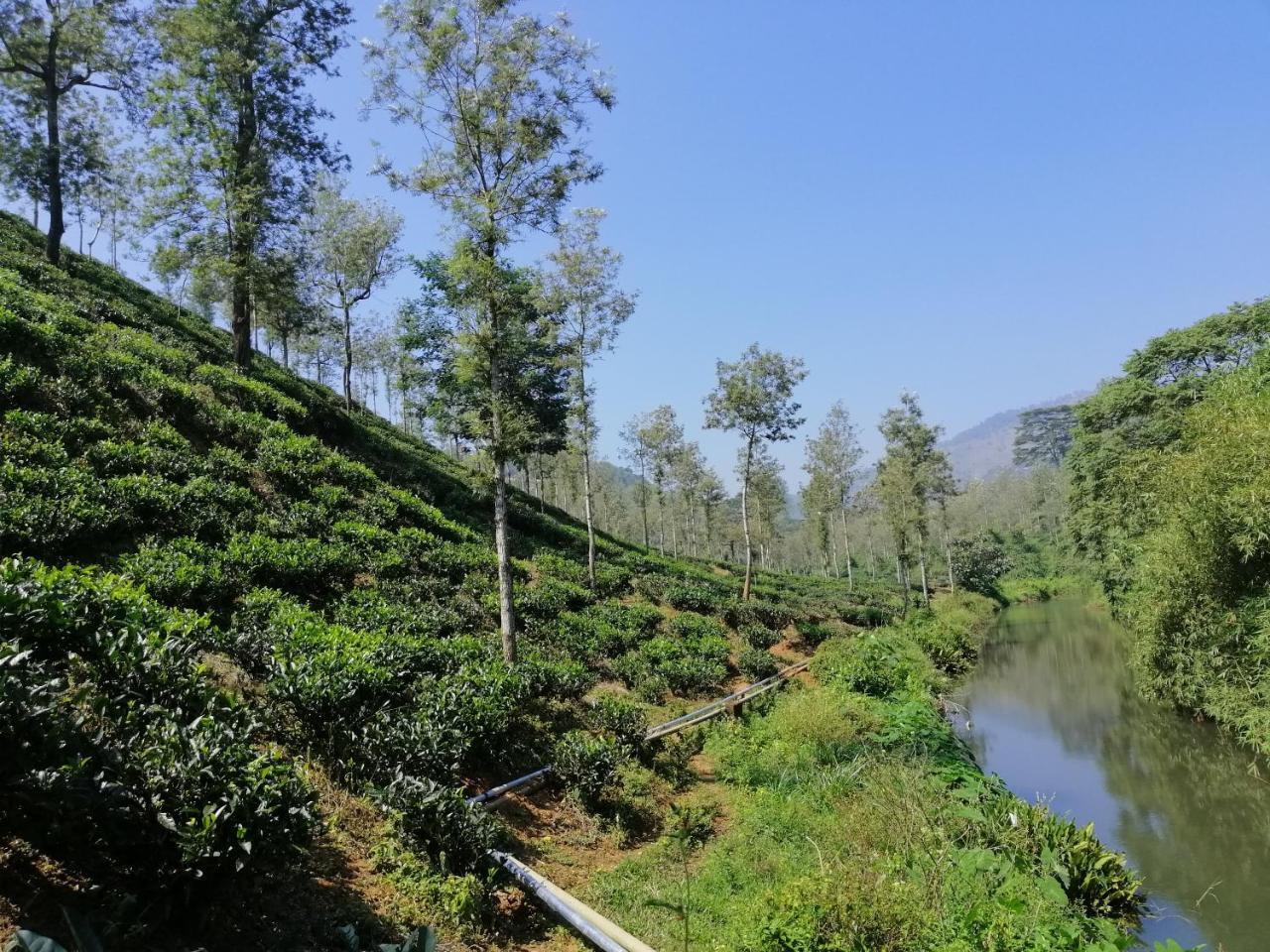 Noah'S Nest Tree House Apartment Thekkady Ngoại thất bức ảnh
