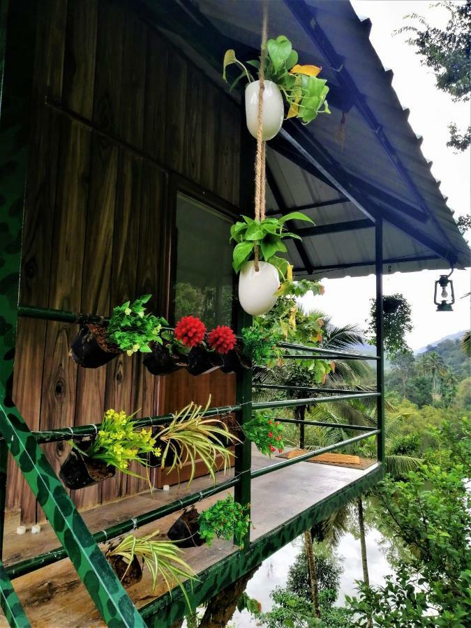 Noah'S Nest Tree House Apartment Thekkady Ngoại thất bức ảnh